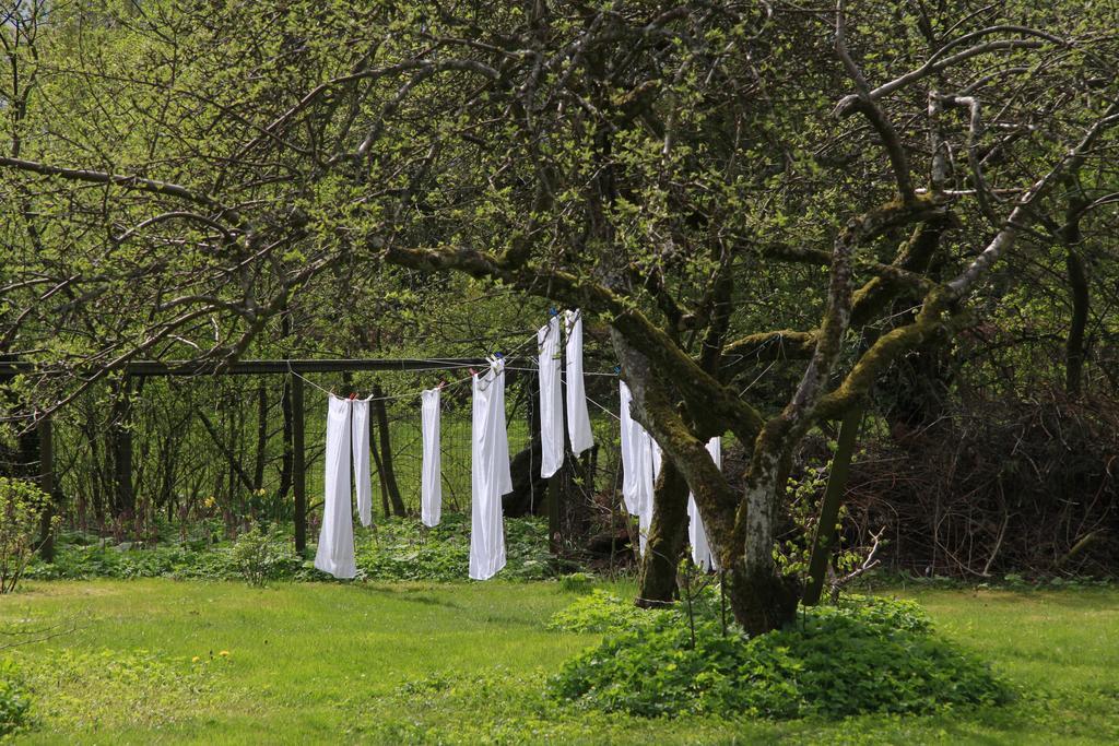 Vemmetofte Praestegard Faxe Exteriör bild